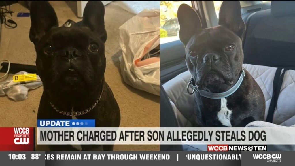 Charlotte Mom Facing Charges After Repeat Offender Son Is Accused Of Stealing Dog
