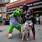 Charlotte Knights Vs Round Rock