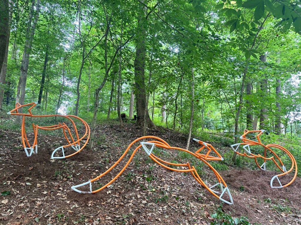 Elemental Exhibitions Forest Forms 4