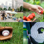 Things To Do In Charlotte