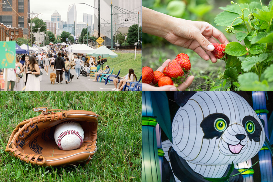 Things To Do In Charlotte