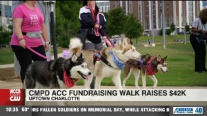 Cmpd Animal Care And Control Fundraiser Walk