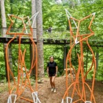 Elemental Exhibitions Forest Forms 2
