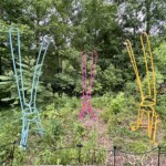 Elemental Exhibitions Forest Forms 3