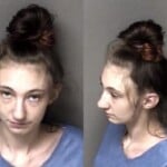 Breyana Nore Herpine Traffick Possession Of Schedule Ii Cs