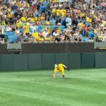 Savannah Bananas Ground Ball