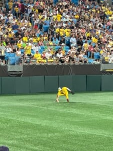 Savannah Bananas Ground Ball