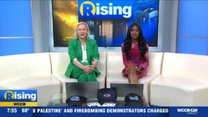 Ballerina From The World Of John Wick, In Theaters Now!