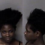 Askya Sings Resist Public Officer Driving While License Revoked Not Impaired