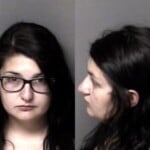 Taylor Correll Driving While Impaired Possess Schedule Vi Controlled Substance