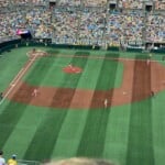 Savannah Bananas Take Over Clt