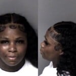 Radrena Grisson Larceny Conspiracy