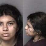 Chelsea Santiz Larceny