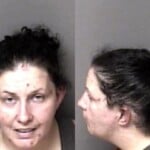 Heather Parham Failure To Appear
