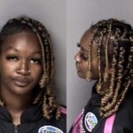 Rihanna Dorsey Resist Public Officer Carry Concealed Weapon 1st Degree Trespass Larceny Motor Vehicle