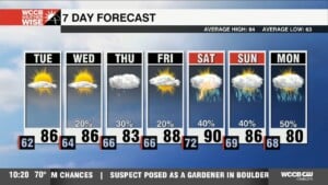 Summer Returns, Watching Tropics