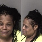 Audrey Hairston Injury To Real Property Second Degree Trespass