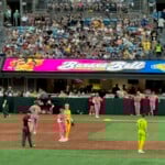 Bananas Ball