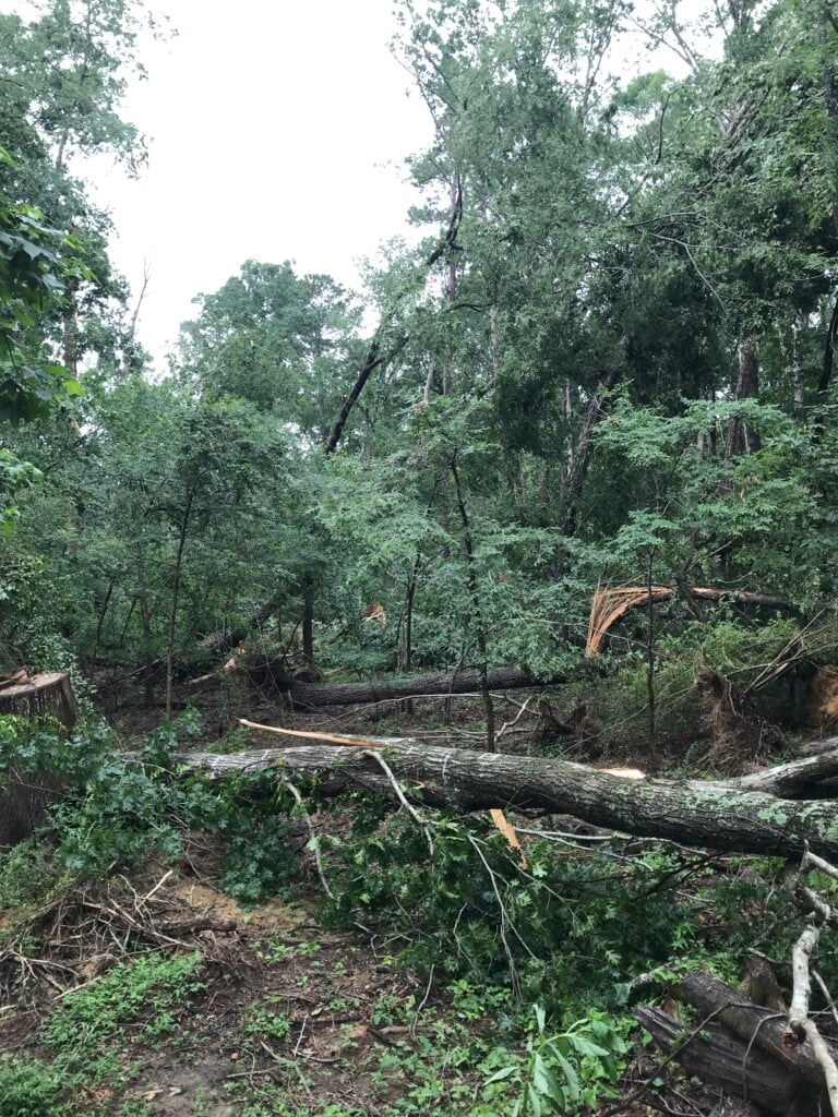 Sc Tornado 1
