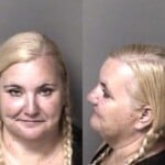 Dana Lipscomb Financial Identity Fraud Financial Card Theft