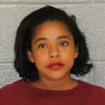 Yoelina Puello Assault With Deadly Weapon