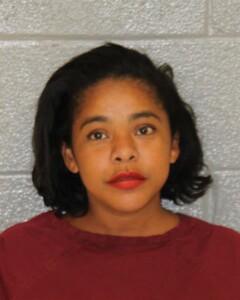 Yoelina Puello Assault With Deadly Weapon
