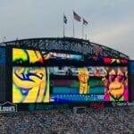 Savannah Bananas At Boa Stadium