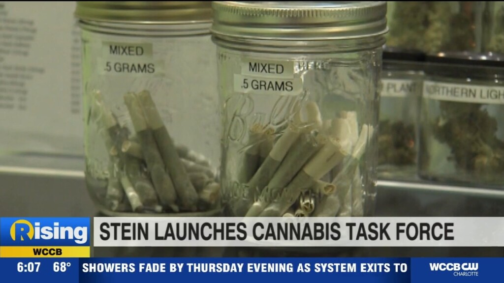 Gov. Stein Launches Cannabis Task Force