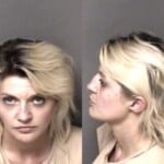 Natasha Davis Possess Methamphetamine Possess Drug Paraphernalia