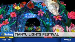 Tianya Lights Festival In Charlotte