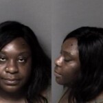 Adaexe Obi Animal Cruelty Animal Abandonment