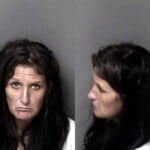 Melissa Gulley Possess Schedule Ii Controlled Substance Possess Drug Paraphernalia