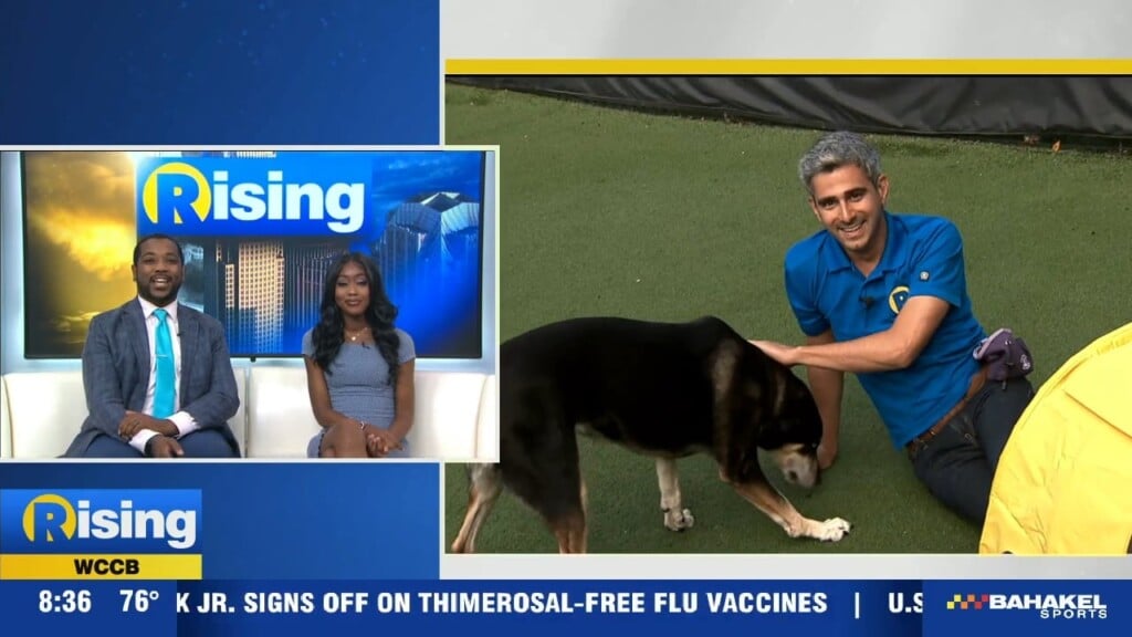 Up 'n Adam: Pampered Pets Inn