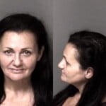 Katy Foran Resist Public Officer