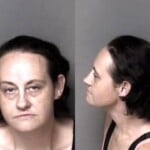 Julia Hamm Possession Of Schedule Ii Cs Possession Of Drug Paraphernalia
