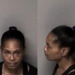 Michael Stillwell Larceny Parole Warrant
