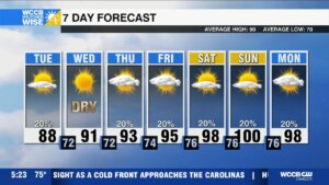 Brief Relief From Summer Grief