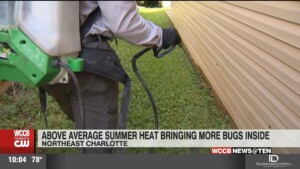 Above Average Summer Heat Causing More Bugs To Come Into Homes