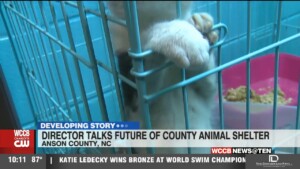 Anson County Shelter