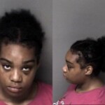 Malaysia Jones Disorderly Conduct Intoxicated And Disrupted