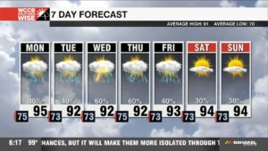 Summer Pattern Sets In