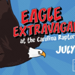 Eagle Extravaganza