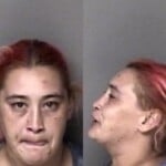 Jessica Clarkson Possess Firearm By Felon Carry Concealed Firearm Driving While Impaired Possess Drug Paraphernalia