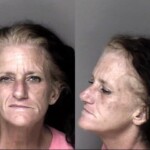 Denise Pryor Failure To Appear