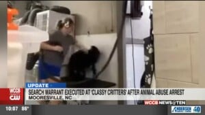 Search Warrant Executed At Classy Critters