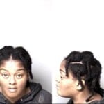 Brittany Daniels Second Degree Trespassing