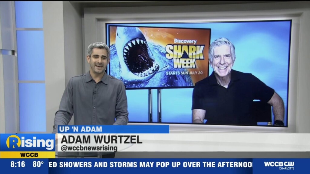 Tom Bergeron To Host Dancing With The Sharks On Discovery's Shark Week