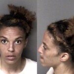 Aashley Lamprecht Impede Ttraffic Sitstand Possession Of Drug Paraphernalia Resist Public Officer