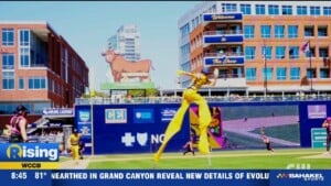 Savannah Bananas Making Their Boradcast Debut