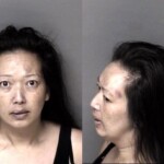 Lailia Yang Intoxicated And Disruptive Second Degree Trespassing Failure To Appear In Court